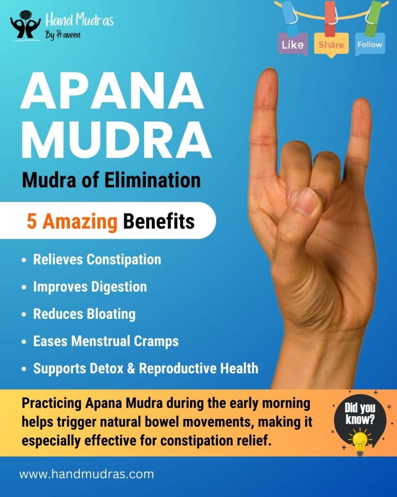 apana mudra
